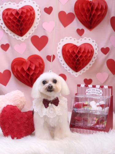 20240224心琴ちゃん